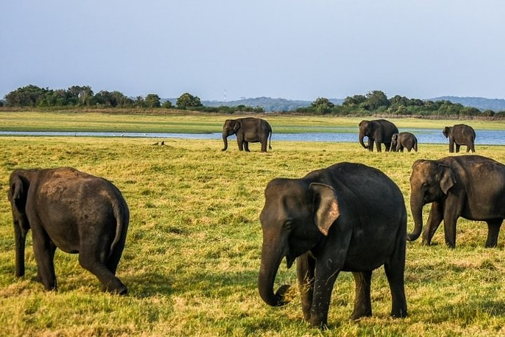 Hurulu eco park